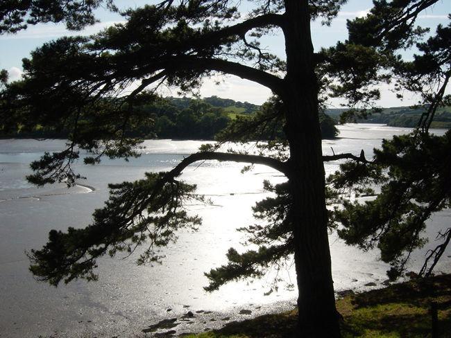Waterside Holiday Cottages Труро Екстер'єр фото